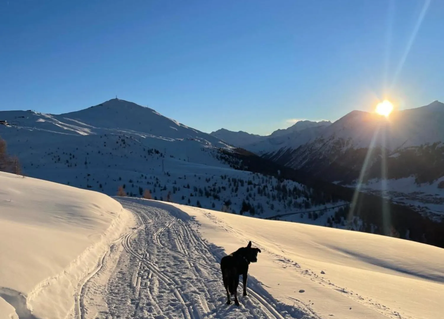 Residence S Lucia - Appartamenti Alle Porte Di Bormio 발디소토 0*,