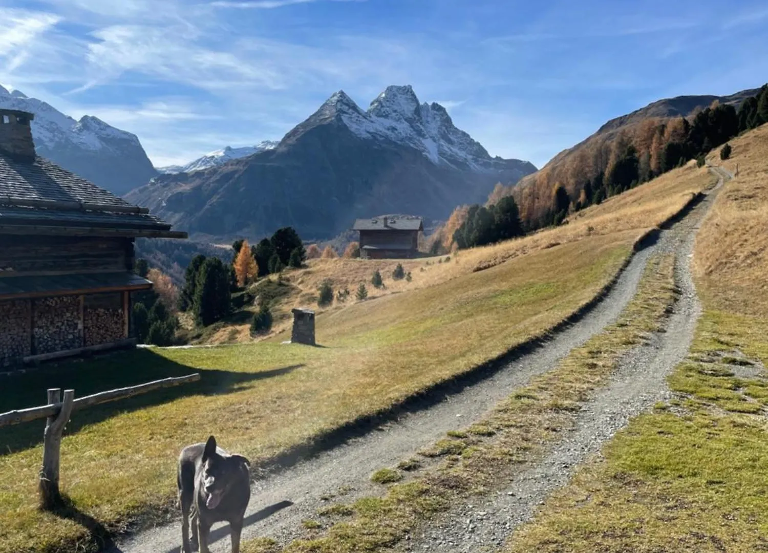 Residence S Lucia - Appartamenti Alle Porte Di Bormio 발디소토